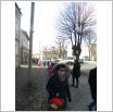 Galeria zdjęć: . Link otwiera powiększoną wersję zdjęcia.